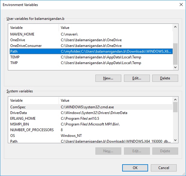 Environment Variable Dialog