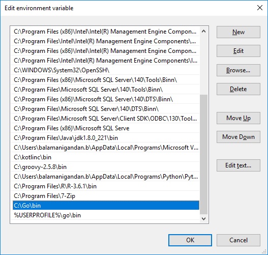 Setting up the environment variable for Golang